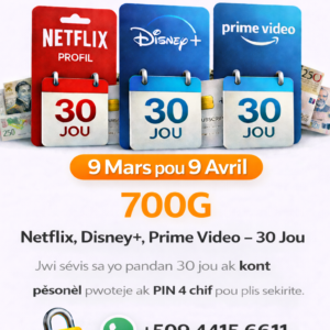 Spesyal-Netflix + DisneyPlus + Prime Video (30 Jou)