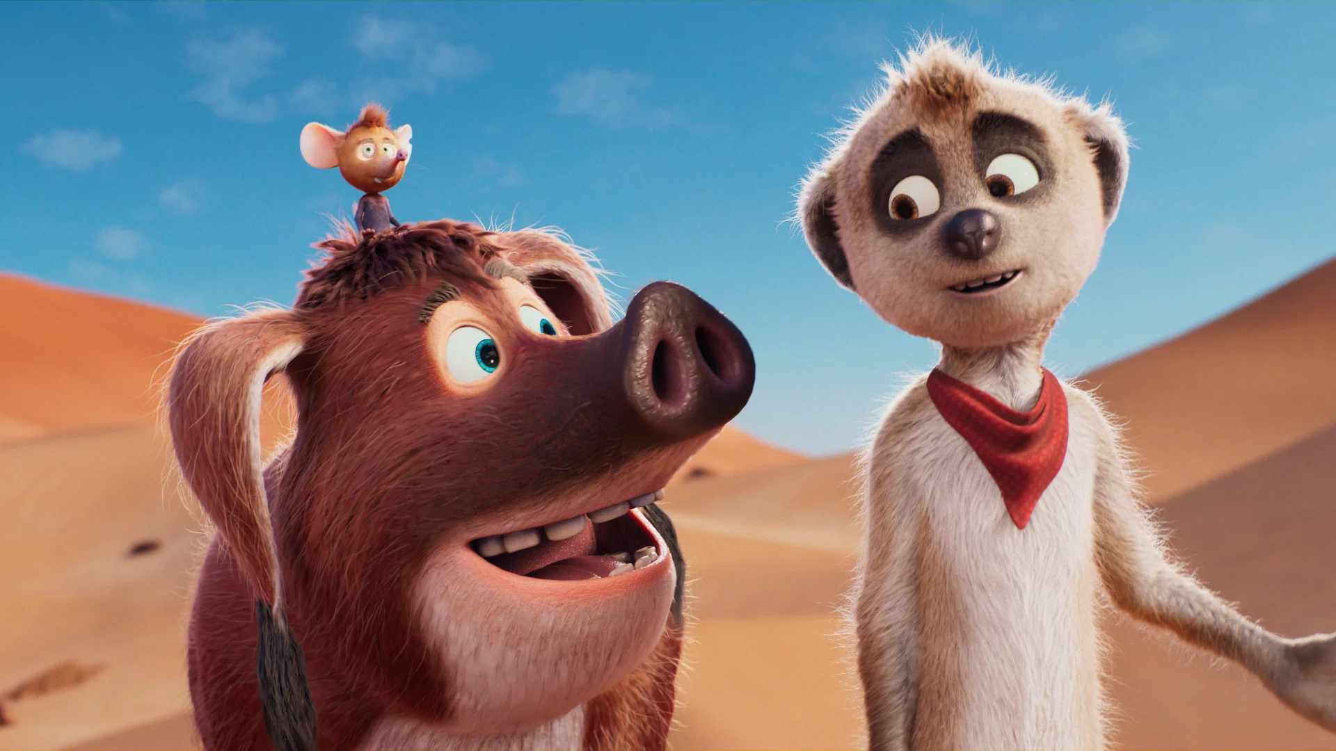 video-section-banner-image